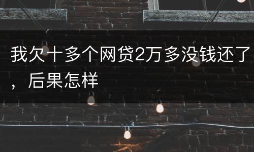我欠十多个网贷2万多没钱还了，后果怎样