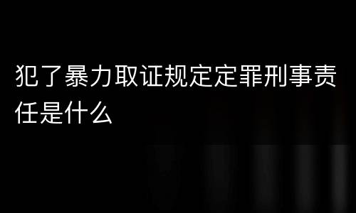 犯了暴力取证规定定罪刑事责任是什么