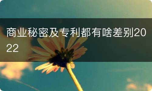 商业秘密及专利都有啥差别2022