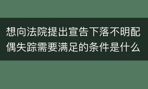 想向法院提出宣告下落不明配偶失踪需要满足的条件是什么