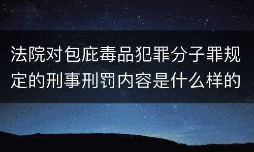 法院对包庇毒品犯罪分子罪规定的刑事刑罚内容是什么样的