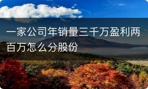 一家公司年销量三千万盈利两百万怎么分股份