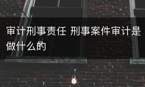 审计刑事责任 刑事案件审计是做什么的