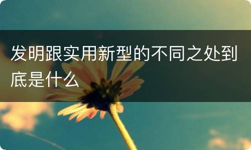 发明跟实用新型的不同之处到底是什么