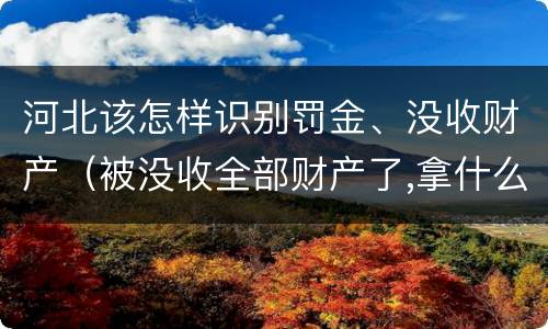 河北该怎样识别罚金、没收财产（被没收全部财产了,拿什么交罚金）
