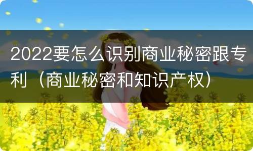 2022要怎么识别商业秘密跟专利（商业秘密和知识产权）