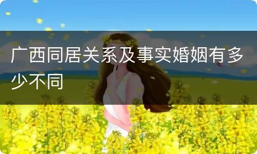 广西同居关系及事实婚姻有多少不同