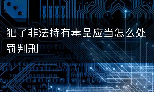 犯了非法持有毒品应当怎么处罚判刑