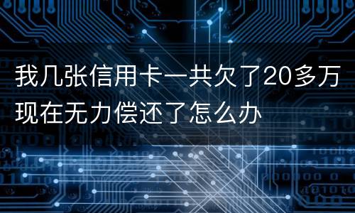 我几张信用卡一共欠了20多万现在无力偿还了怎么办