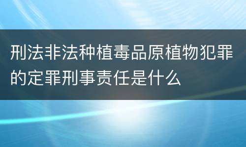 刑法非法种植毒品原植物犯罪的定罪刑事责任是什么