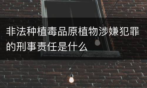 非法种植毒品原植物涉嫌犯罪的刑事责任是什么