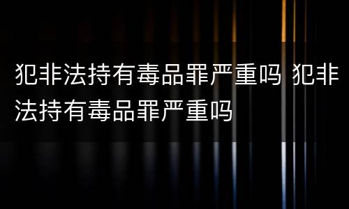 犯非法持有毒品罪严重吗 犯非法持有毒品罪严重吗