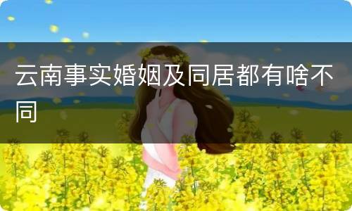 云南事实婚姻及同居都有啥不同