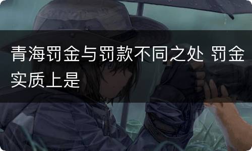 青海罚金与罚款不同之处 罚金实质上是