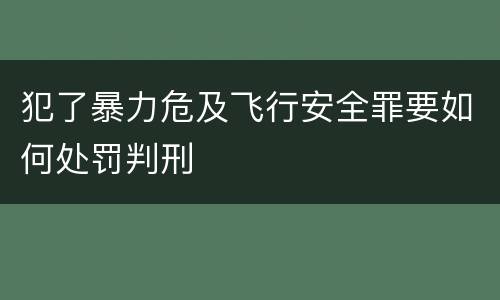 犯了暴力危及飞行安全罪要如何处罚判刑