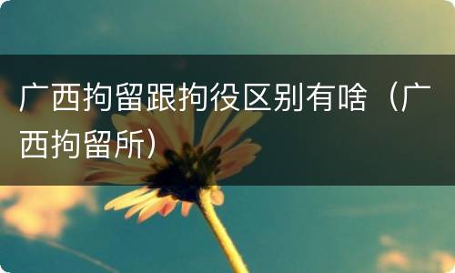 广西拘留跟拘役区别有啥（广西拘留所）