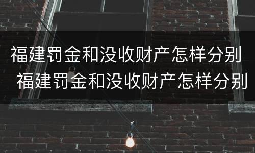 福建罚金和没收财产怎样分别 福建罚金和没收财产怎样分别认定