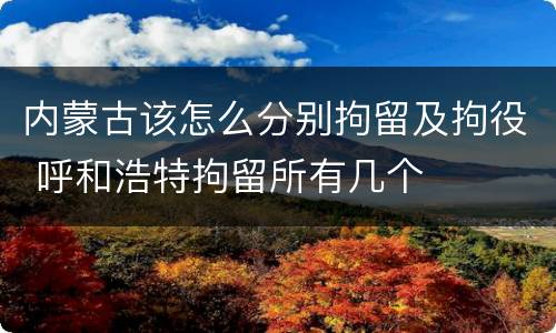 内蒙古该怎么分别拘留及拘役 呼和浩特拘留所有几个