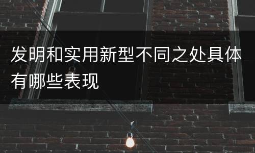 发明和实用新型不同之处具体有哪些表现