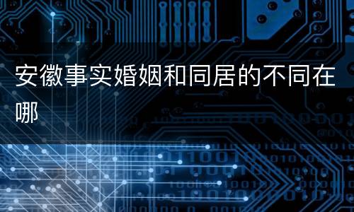 安徽事实婚姻和同居的不同在哪