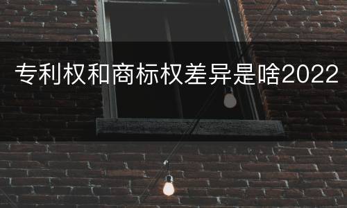 专利权和商标权差异是啥2022