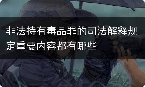 非法持有毒品罪的司法解释规定重要内容都有哪些
