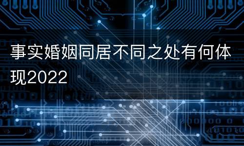 事实婚姻同居不同之处有何体现2022