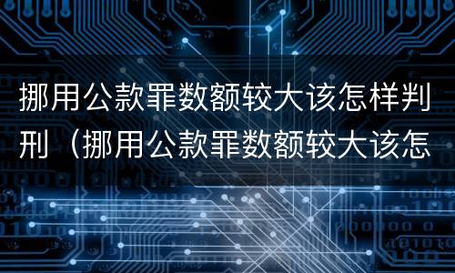 挪用公款罪数额较大该怎样判刑（挪用公款罪数额较大该怎样判刑呢）