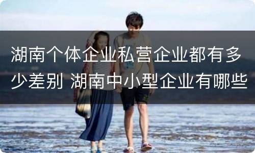 湖南个体企业私营企业都有多少差别 湖南中小型企业有哪些