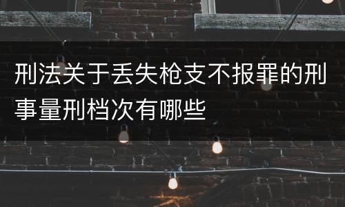 刑法关于丢失枪支不报罪的刑事量刑档次有哪些