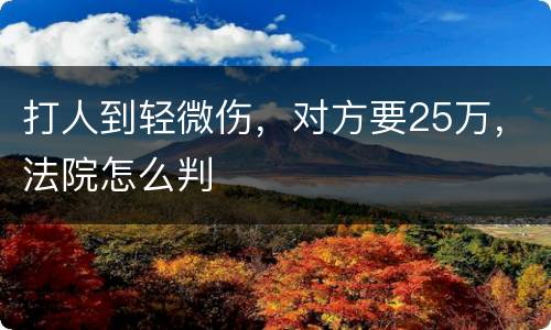打人到轻微伤，对方要25万，法院怎么判