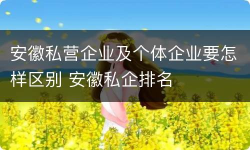 安徽私营企业及个体企业要怎样区别 安徽私企排名