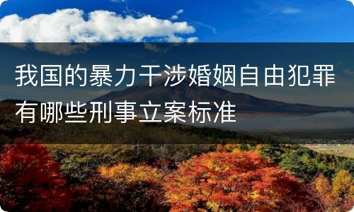 我国的暴力干涉婚姻自由犯罪有哪些刑事立案标准