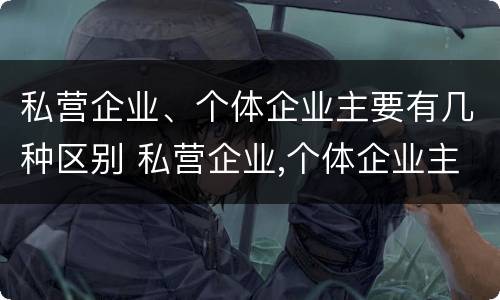 私营企业、个体企业主要有几种区别 私营企业,个体企业主要有几种区别