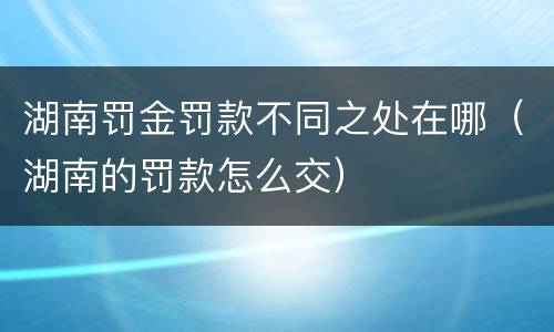 湖南罚金罚款不同之处在哪（湖南的罚款怎么交）