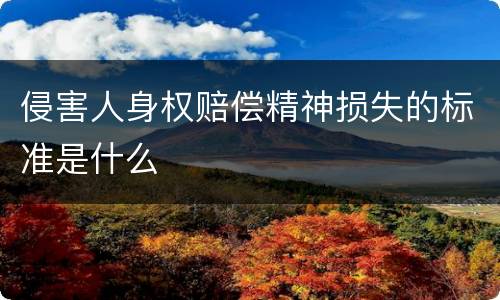 侵害人身权赔偿精神损失的标准是什么
