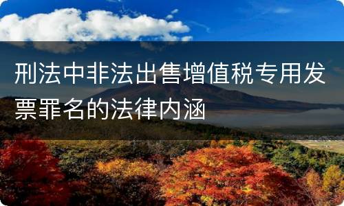 刑法中非法出售增值税专用发票罪名的法律内涵