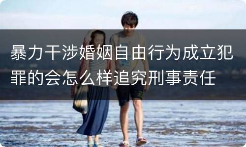暴力干涉婚姻自由行为成立犯罪的会怎么样追究刑事责任