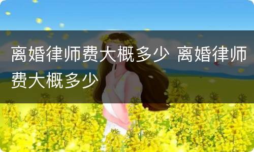 离婚律师费大概多少 离婚律师费大概多少