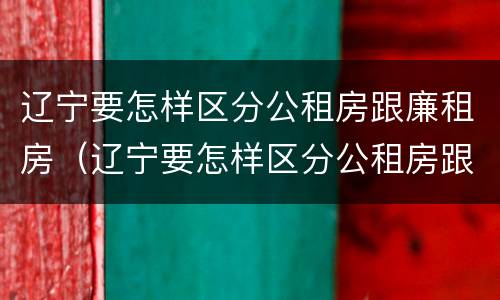 辽宁要怎样区分公租房跟廉租房（辽宁要怎样区分公租房跟廉租房呢）