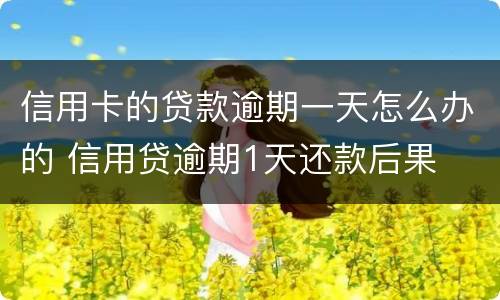 信用卡的贷款逾期一天怎么办的 信用贷逾期1天还款后果