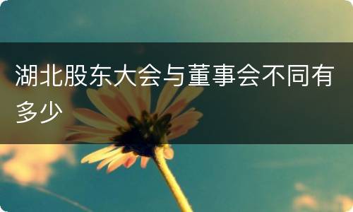 湖北股东大会与董事会不同有多少