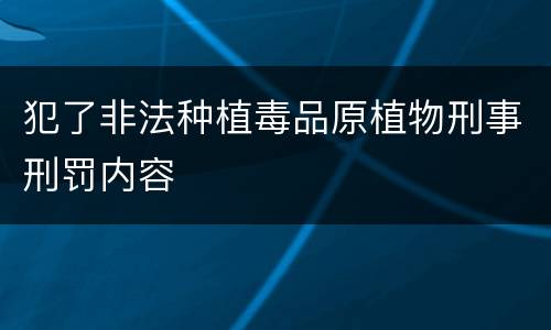 犯了非法种植毒品原植物刑事刑罚内容