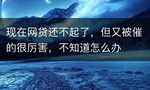 现在网贷还不起了，但又被催的很厉害，不知道怎么办
