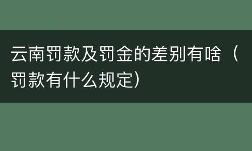 云南罚款及罚金的差别有啥（罚款有什么规定）