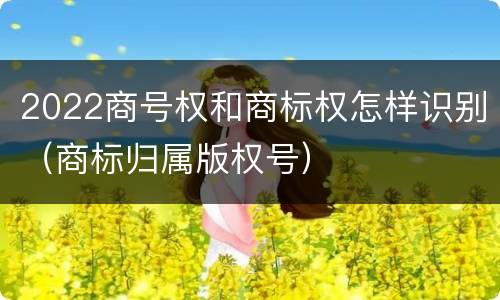 2022商号权和商标权怎样识别（商标归属版权号）