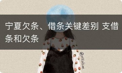 宁夏欠条、借条关键差别 支借条和欠条