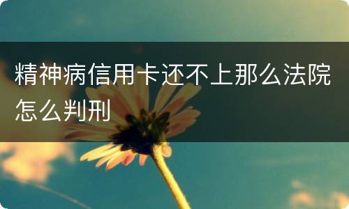 精神病信用卡还不上那么法院怎么判刑
