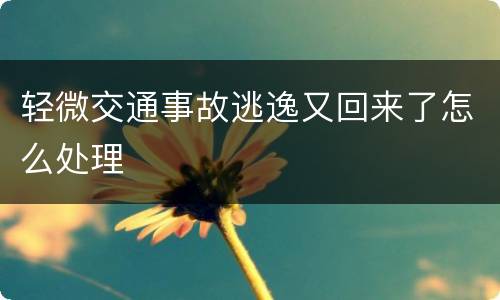 轻微交通事故逃逸又回来了怎么处理