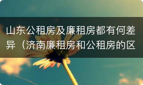 山东公租房及廉租房都有何差异（济南廉租房和公租房的区别）